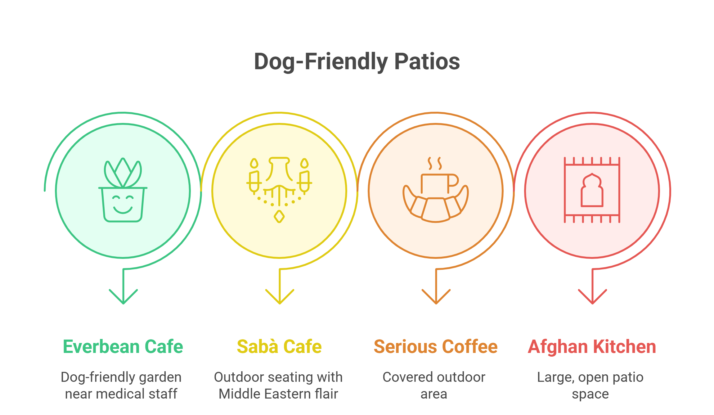Dog friendly Patios Infographic
Location	Patio Feature
Everbean Cafe	Dog-friendly garden near medical staff every day
Sabà Cafe	Outdoor seating with Middle Eastern flair
Serious Coffee	Covered outdoor area
Afghan Kitchen	Large, open patio space