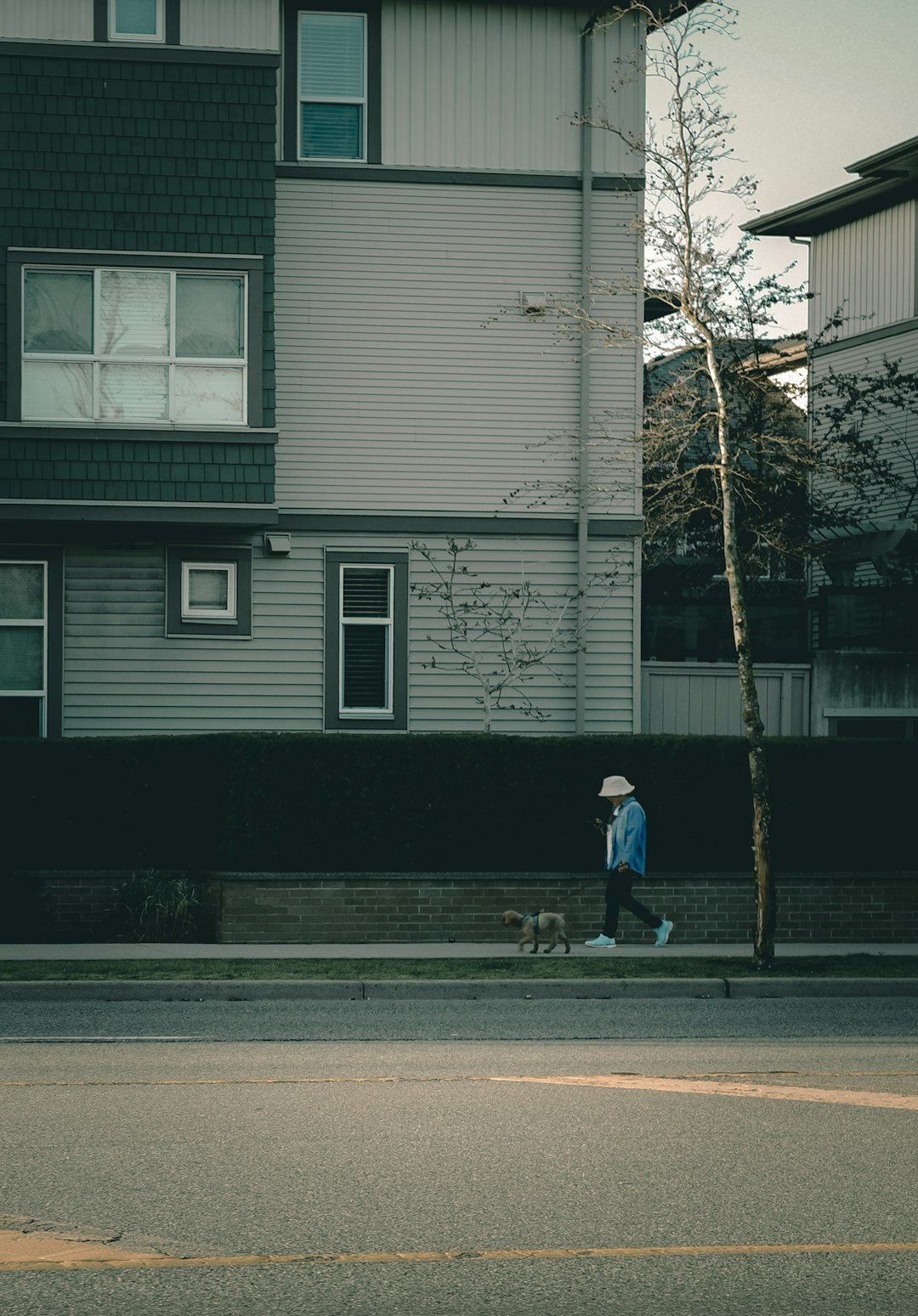 a person walking a dog down a street 1vflk3ivroi Surrey Local