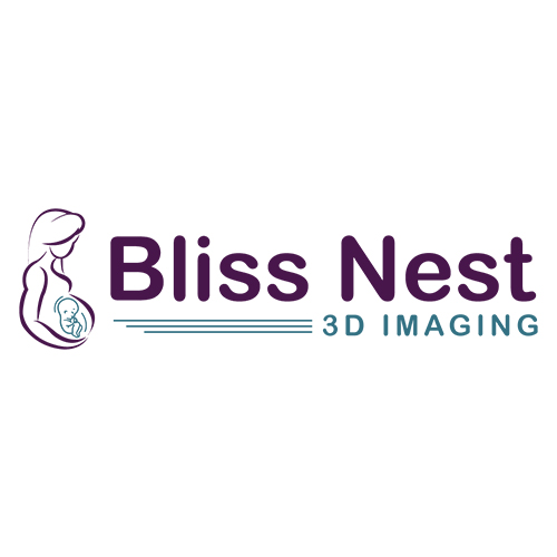 bn3dimaging logo Bliss Nest 3D Imaging