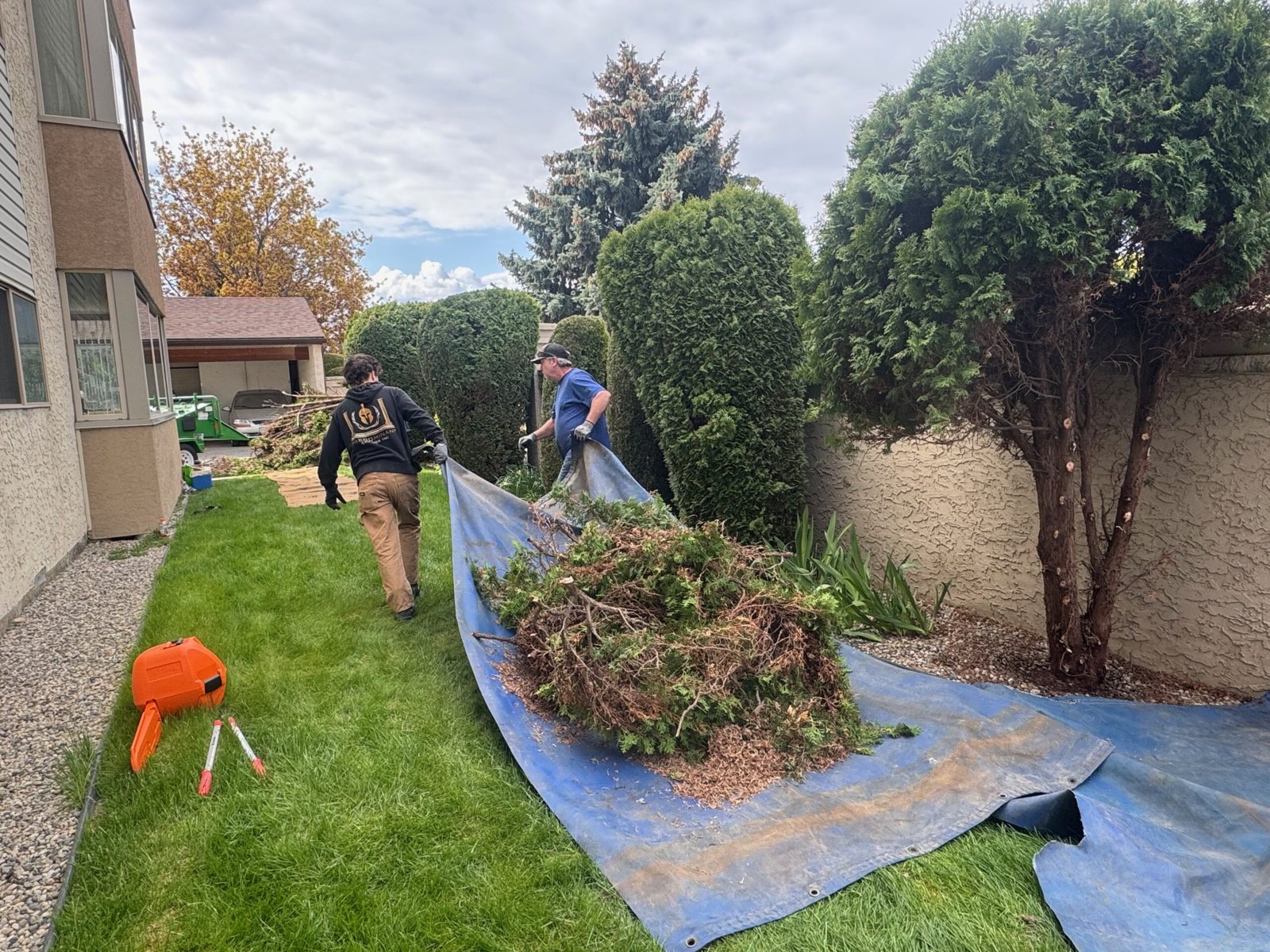 ct interior surrey CutTree.Co CutTree.Co Kelowna pruning and tree care work