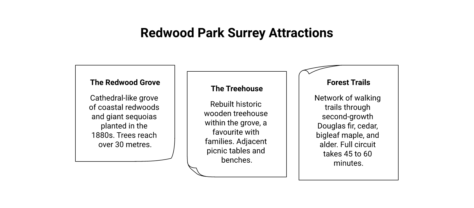 redwoodpark infographic surrey Redwood Park Surrey: The Complete Visitor's Guide Planning Your Visit to Redwood Park infographic