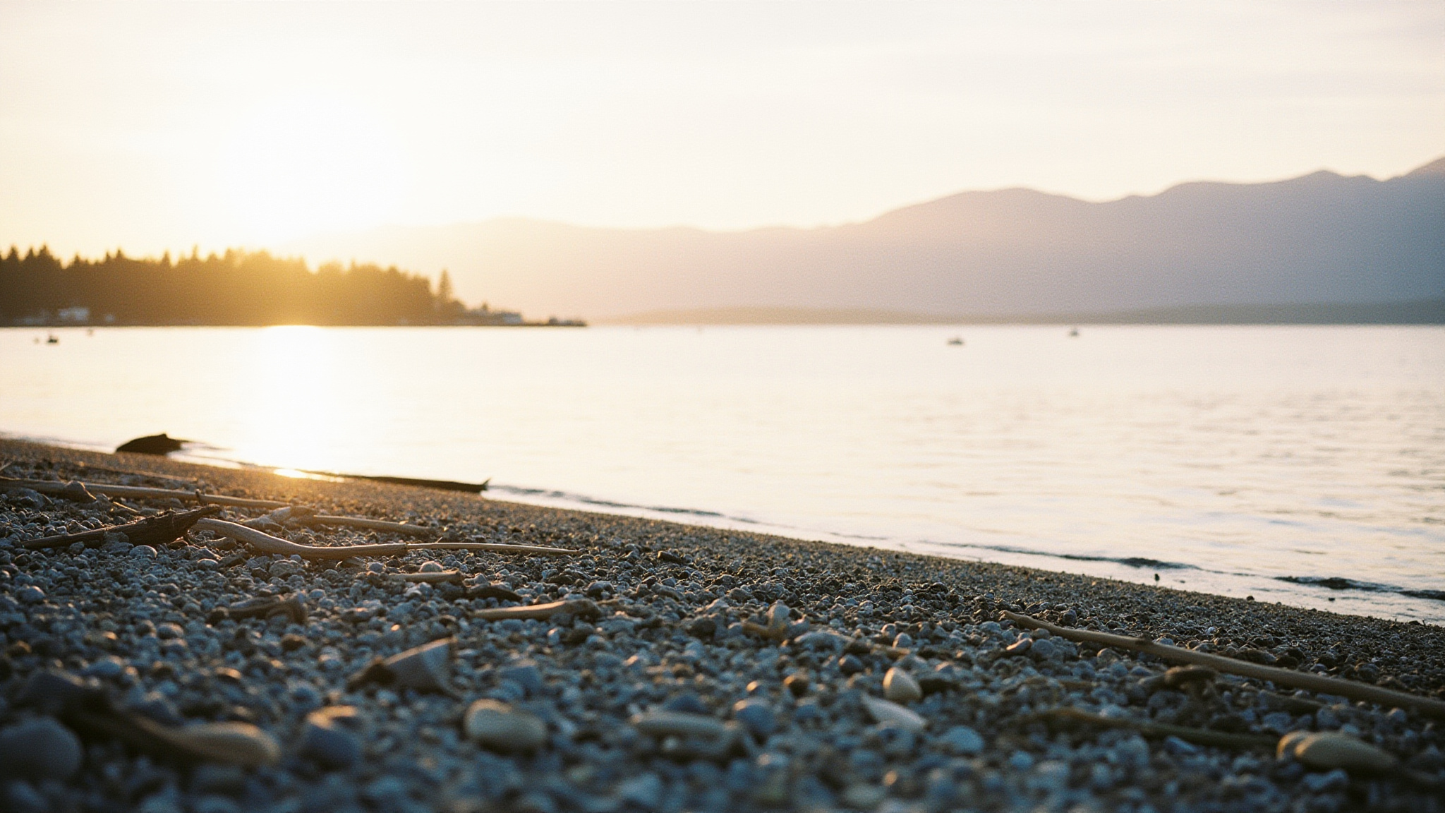 South Surrey Shopping and Dining Guide: What to Know Before You Go