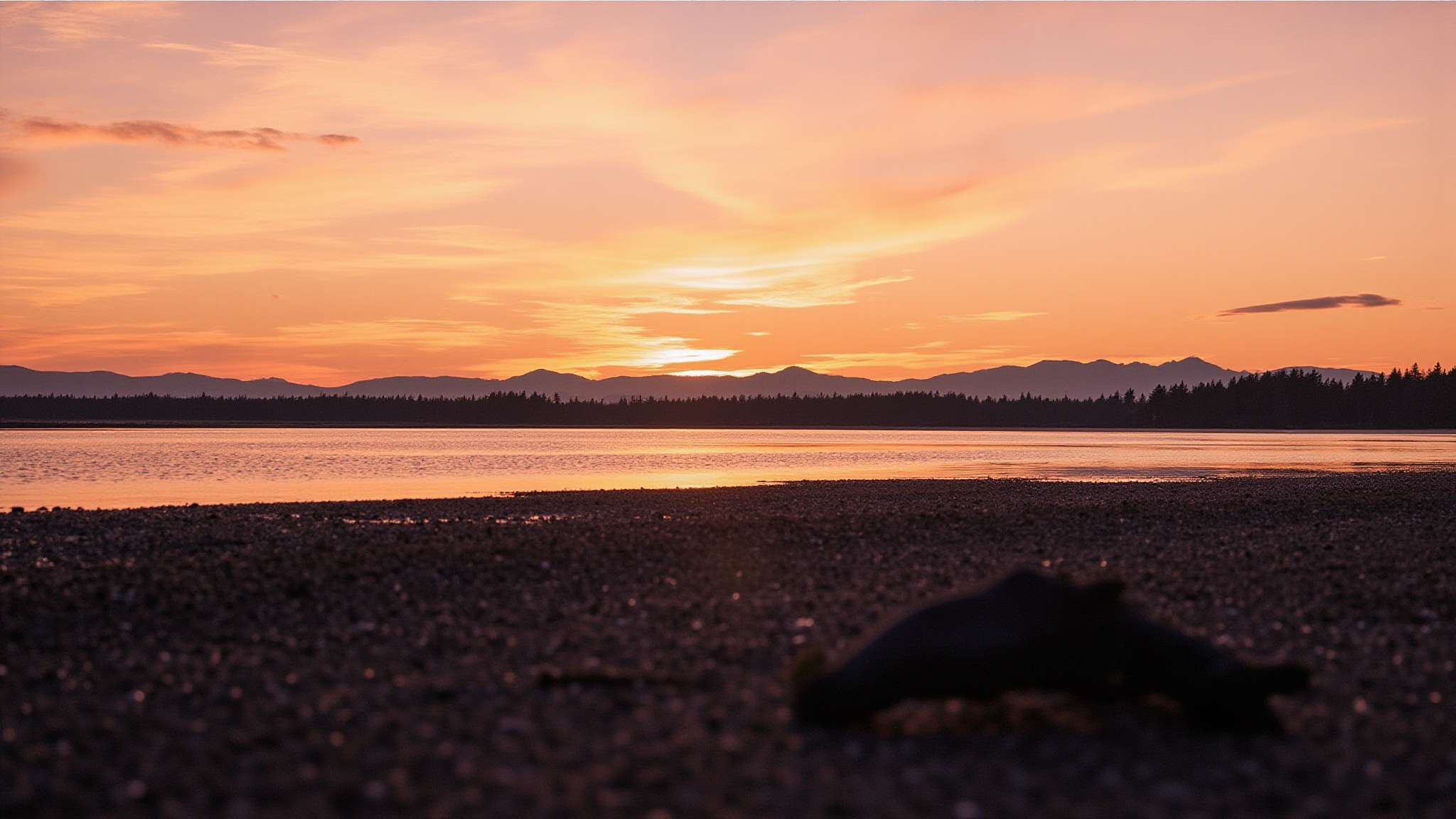 Crescent Beach, Ocean Park, and the Western Villages
