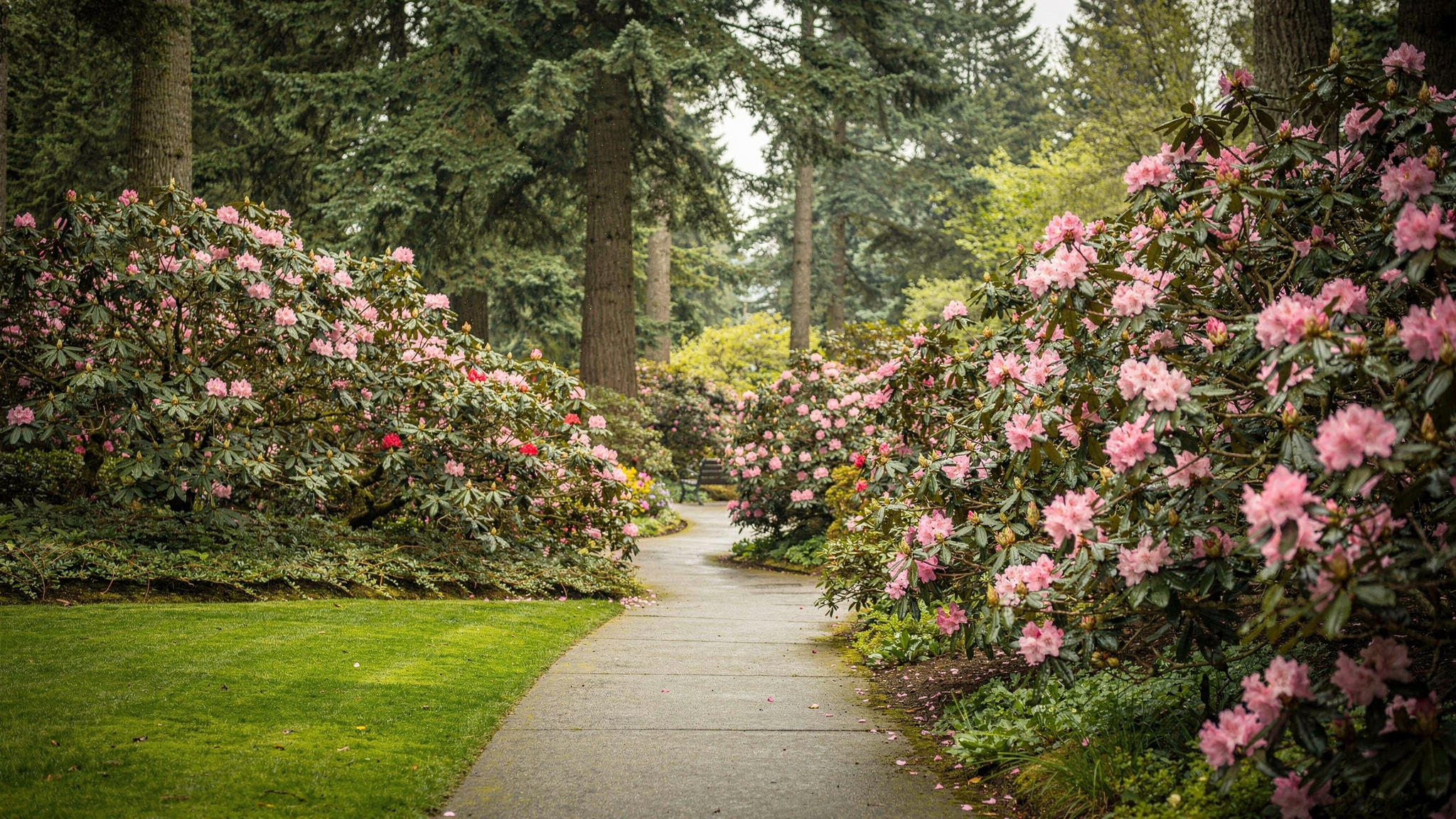 Bear Creek Park Surrey: The Complete Visitor's Guide
