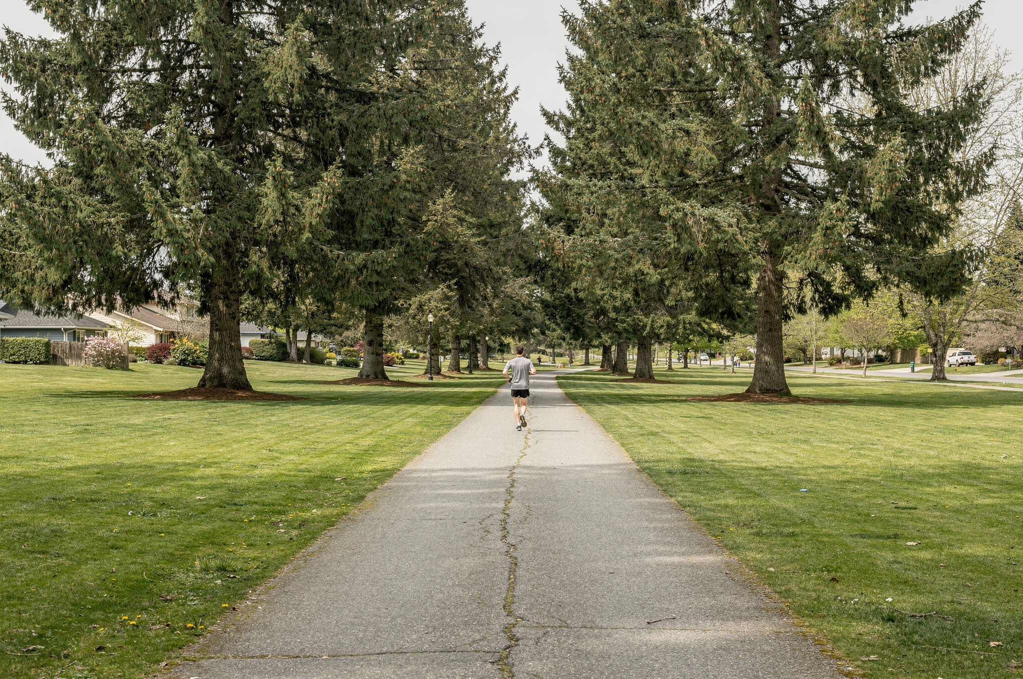 free outdoor fitness trails in a Surrey park