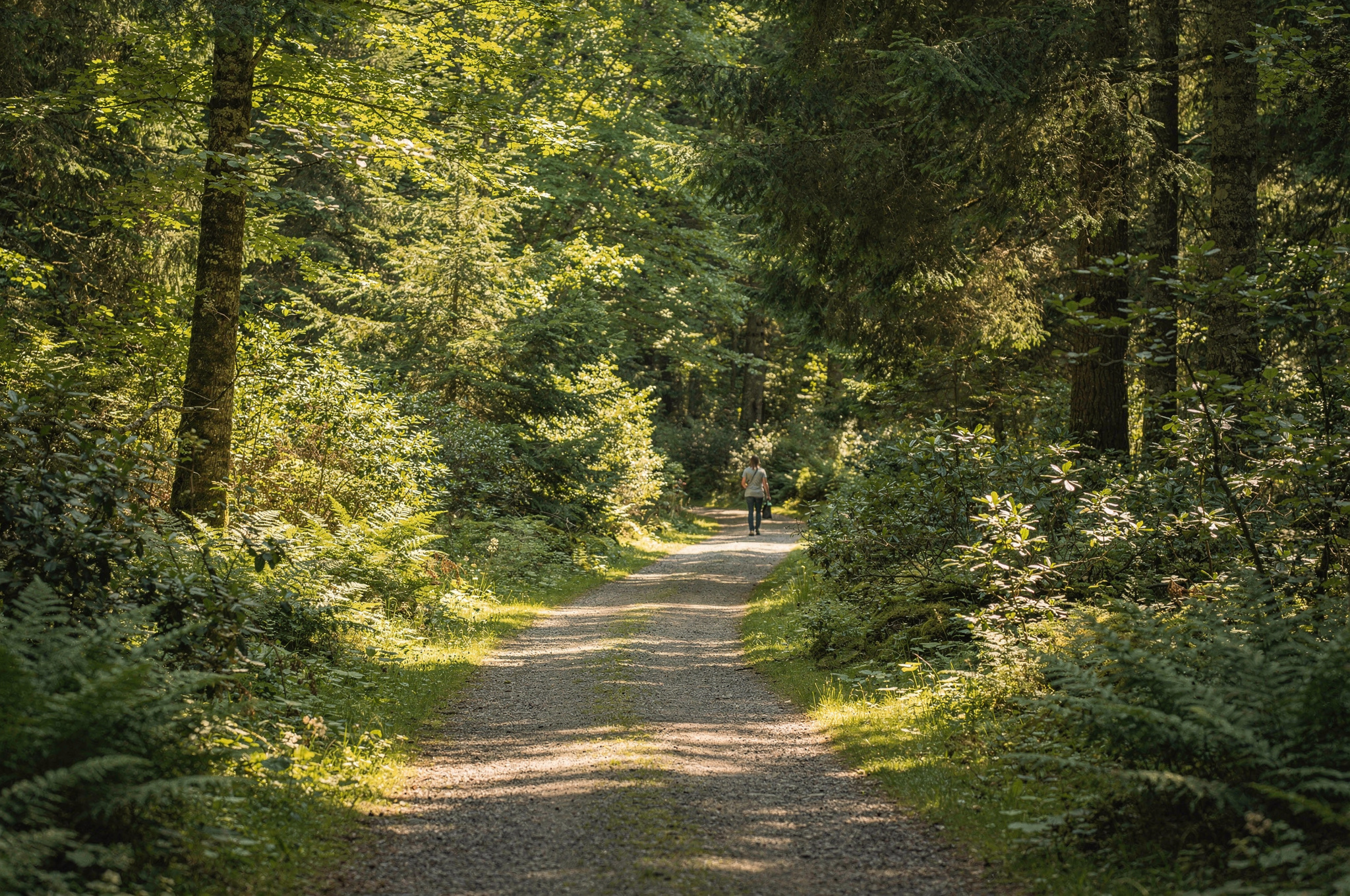 historic nature trail access