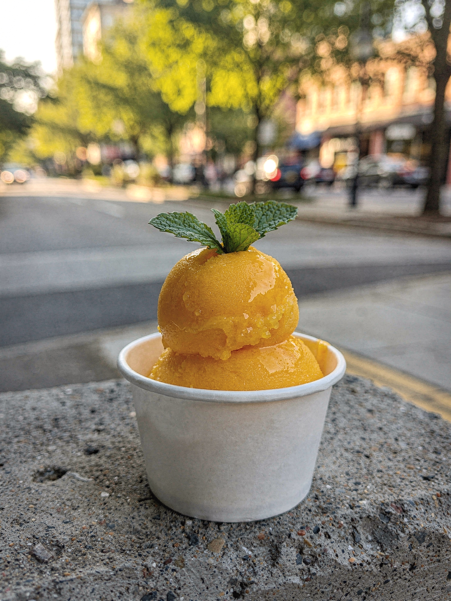 icecream sec1 surrey v2 Best Ice Cream and Gelato in Surrey, BC: A Summer Guide South Asian Frozen Treats: Kulfi, Mango, and Saffron