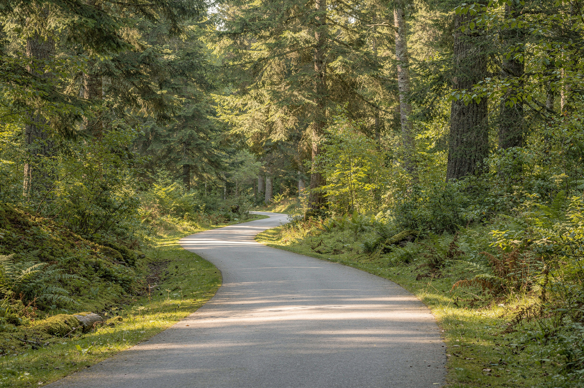 mobility friendly outdoor community trails